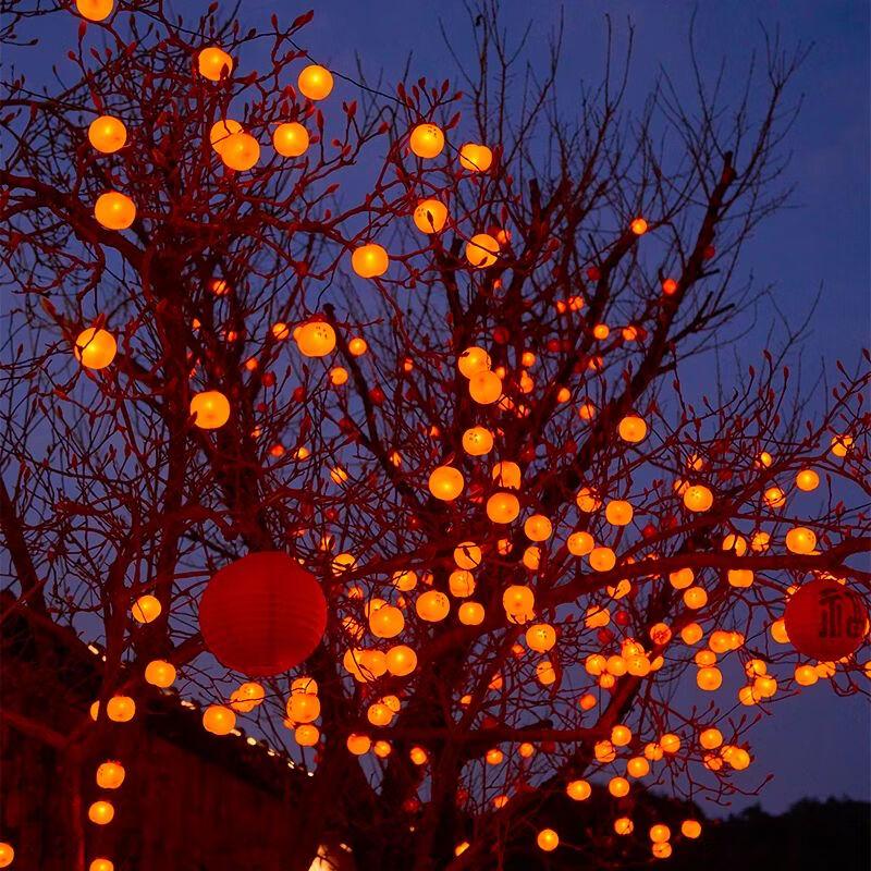 Solar Persimmon and Apple Decorative String Lights