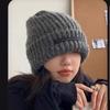Korean Hats for Women In Autumn and Winter Fashionable and Versatile Plus Velvet Thickened Warm Windproof Wool Hat Outdoor Cold Proof Hat