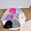 Autumn and Winter New Style English Embroidered Knitted Hat for Boys and Girls Stylish and Versatile Woolen Hat  Simple Ear Protection Hat