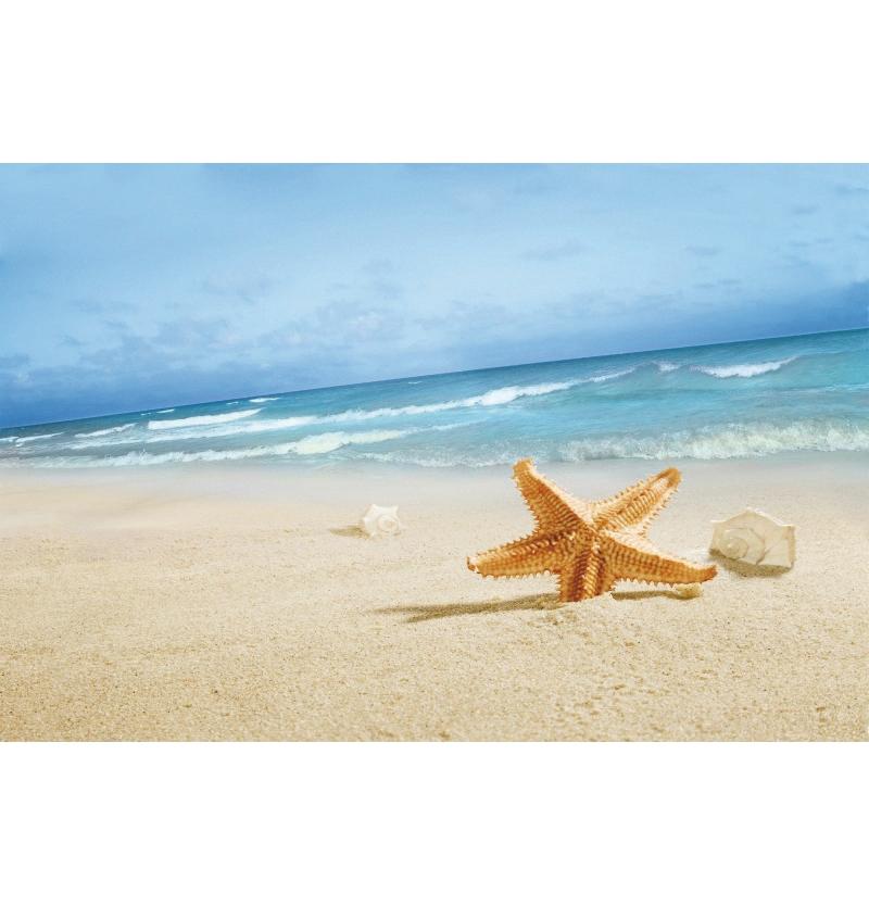 Decorazione Sfondo Spiaggia Tropicale Conchiglia Stella Marina Vacanza Estiva Per Festa in Piscina Sfondi Per Fotografie