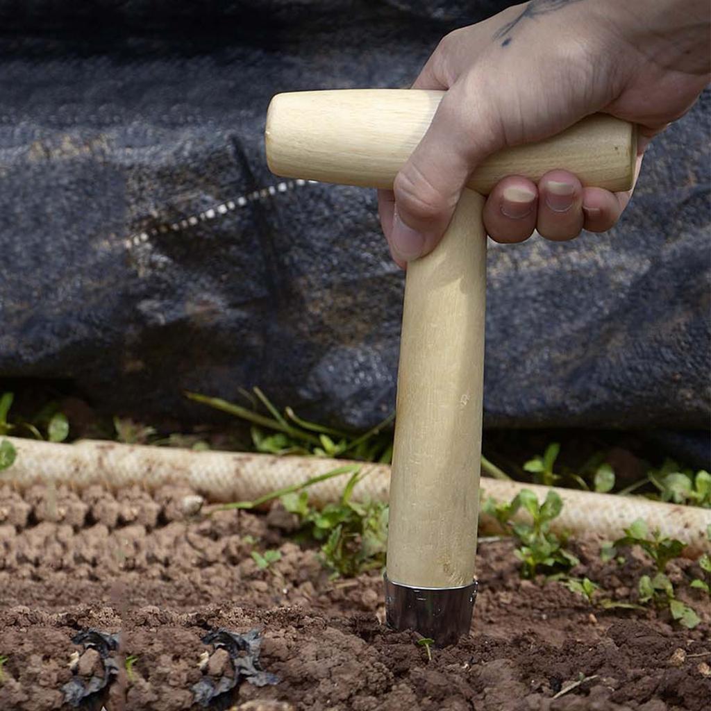 Metall-Handpflanzgerät mit Holzgriff Gartensamenverteiler Leicht & Tragbar zum Umpflanzen von Pflanzen Gemüse pflanzen