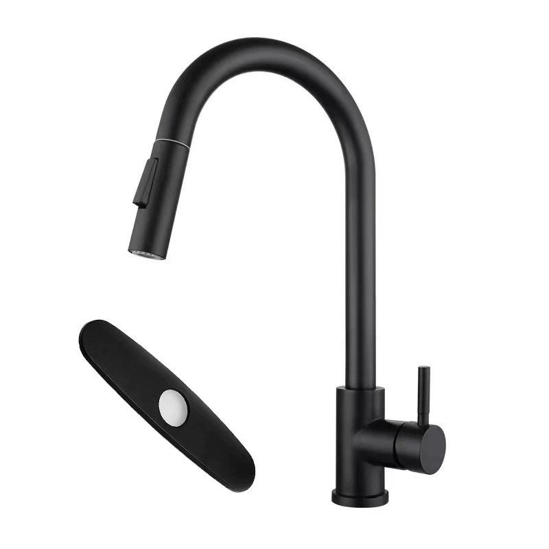 Rotatable Kitchen Faucet: Hot/Cold, 304 Stainless Steel, Pull-Out Retractable