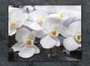 SZKLANA DESKA DO KROEJNIA 30x22 ORCHIDEA