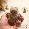 Transparent Cat Hair Craft Fridge Magnet DIY Pet Memorabilia for Distinctive Household Decor