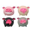 Stress Relief Pig Squeeze Toy Kids Adults Cartoon Pig Sensory Toy Portable