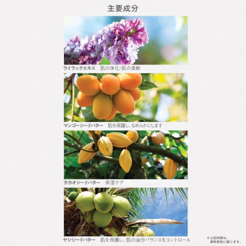 The Saem Official Japan Perfumed Hand Cream, Lilac 0725, Moisturizing Hand Cream