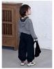 Kids' Spring & Autumn Casual Long Pants - Boys' Fashion Sportswear