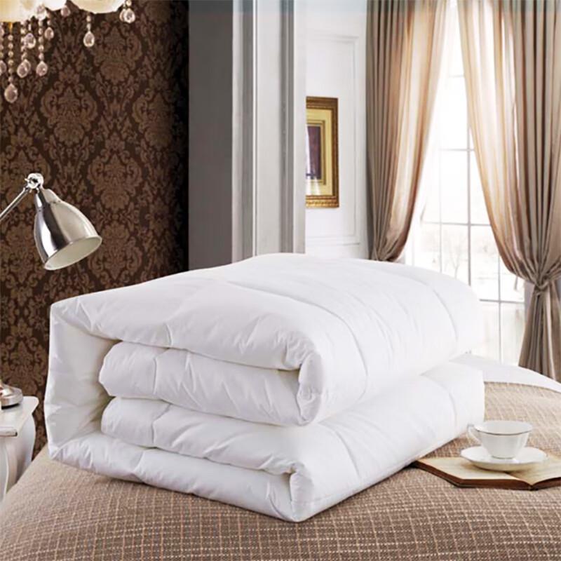 Hotel Quality Microfiber Duvet Insert