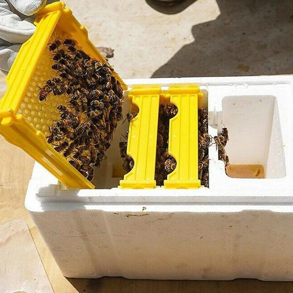 Foam Bee Hive Box Beekeeper Garden Pollination Box Waterproof Bee Breeding Case
