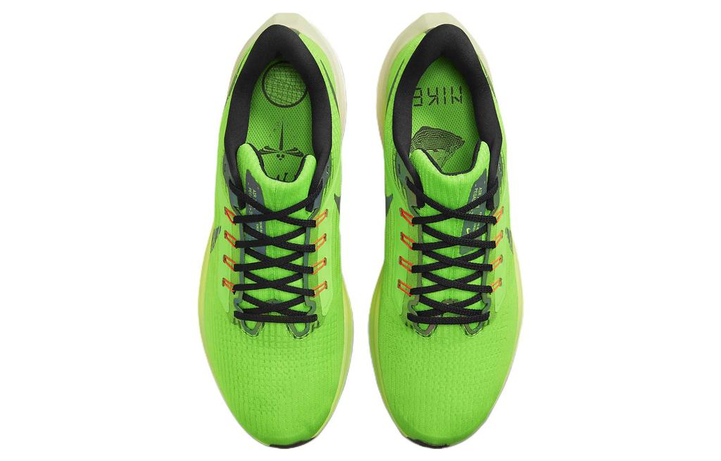 Nike Air Zoom Pegasus 39 'Ekiden Zoom Pack' DZ4776-343