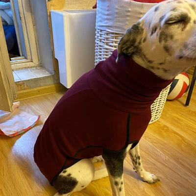 Fashion Warm Soft Winter Apparel Harness Vest Pitbull Coat Jacket Pet Hoodie Coat Dog High Collar Sweater