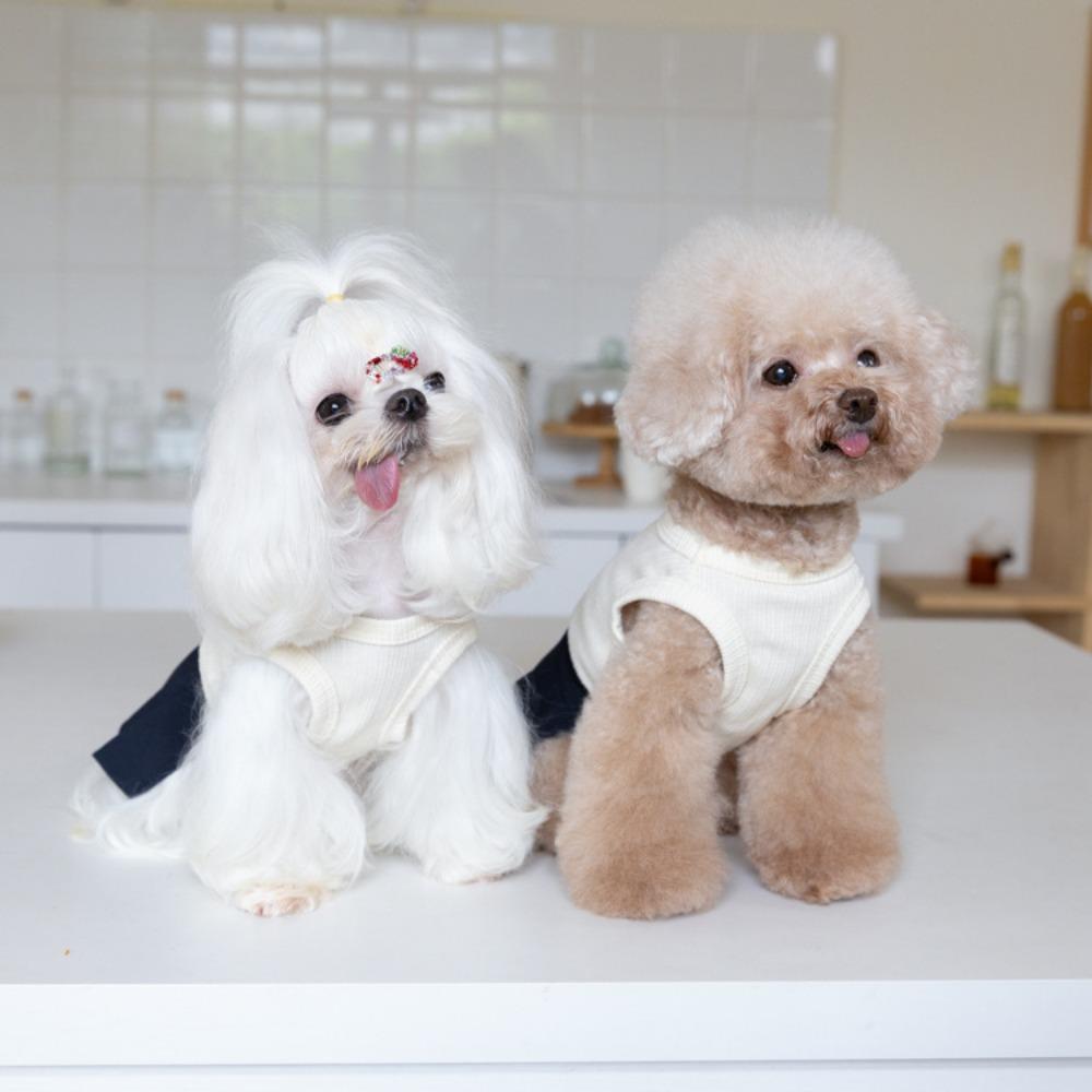 Schuluniform für Haustiere, Faltenrock, süßer Westenrock, Katzenkleidung, Teddykleidung, Hundekleidung für kleine Hunde, Hundekleider, Welpenkleidung