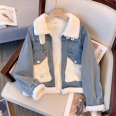 Fleece Thickened Denim Jacket Women's New Autumn Winter Small Ladies Loose Ladies Short Winter Clothes