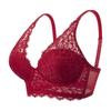 Women S Wireless Lace French Style Sexy Plus Size Bra