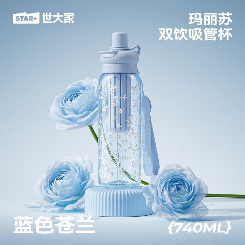 Cute Portable Glass Straw Cup 740ml