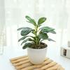 Lifelike Simulation Potted Plants Plastic Green Pot Plants Decoration  Outdoor Indoor Decoration