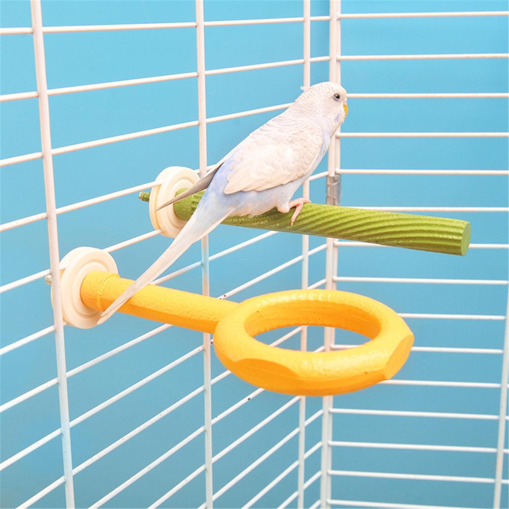 Bird Perch Nature Molar Stand for Parrots Conure Supplies Budgies Grinding Scratchers for Small Medium Parrots Toy