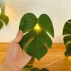 1.5 Meters LED Turtle Leaves Light String 3D DIY Decor Tree Lantern Strip Green Leaf Vine Hawaii Wedding Decor Lamp Home Decor