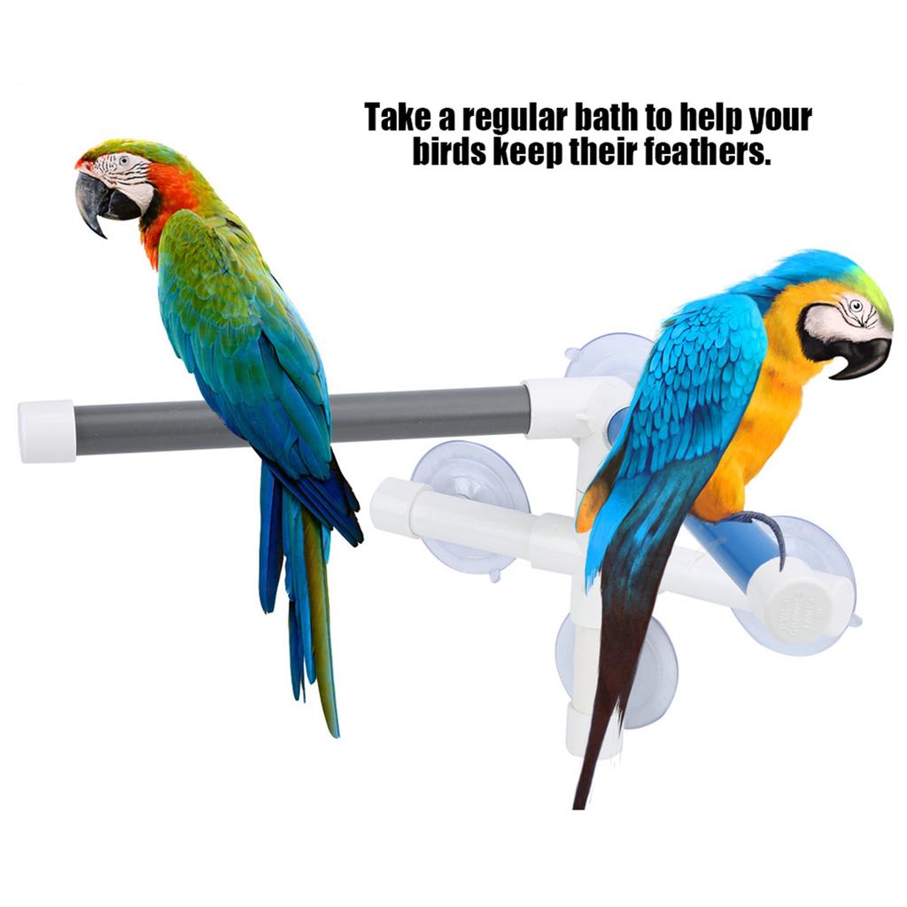 PVC Bird Bath Shower Bathing Perch Stand with Suction Cup for Parrot Macaw