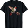 Bird Series. Ruby Throated Hummingbird