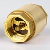 Naixin Brass Vertical Spring Check Valve