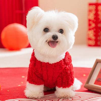 Abbigliamento e scarpe – Maglioni per cani