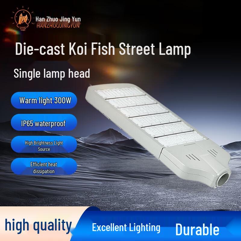 Die-cast Wealthy Fish LED Outdoor Street Light Head