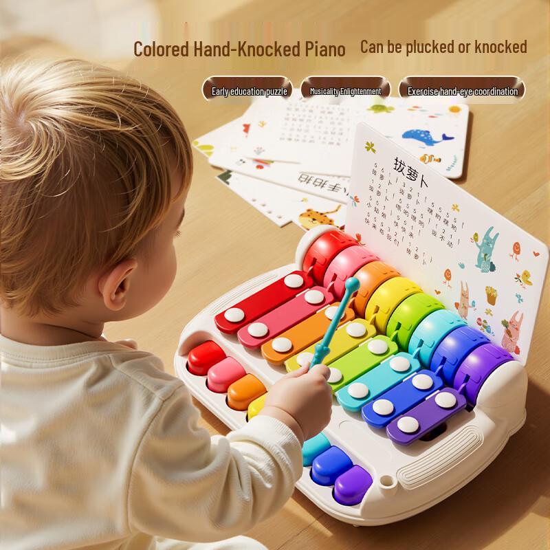 Ousaqi Kids 2-in-1 Xylophone Piano Toy