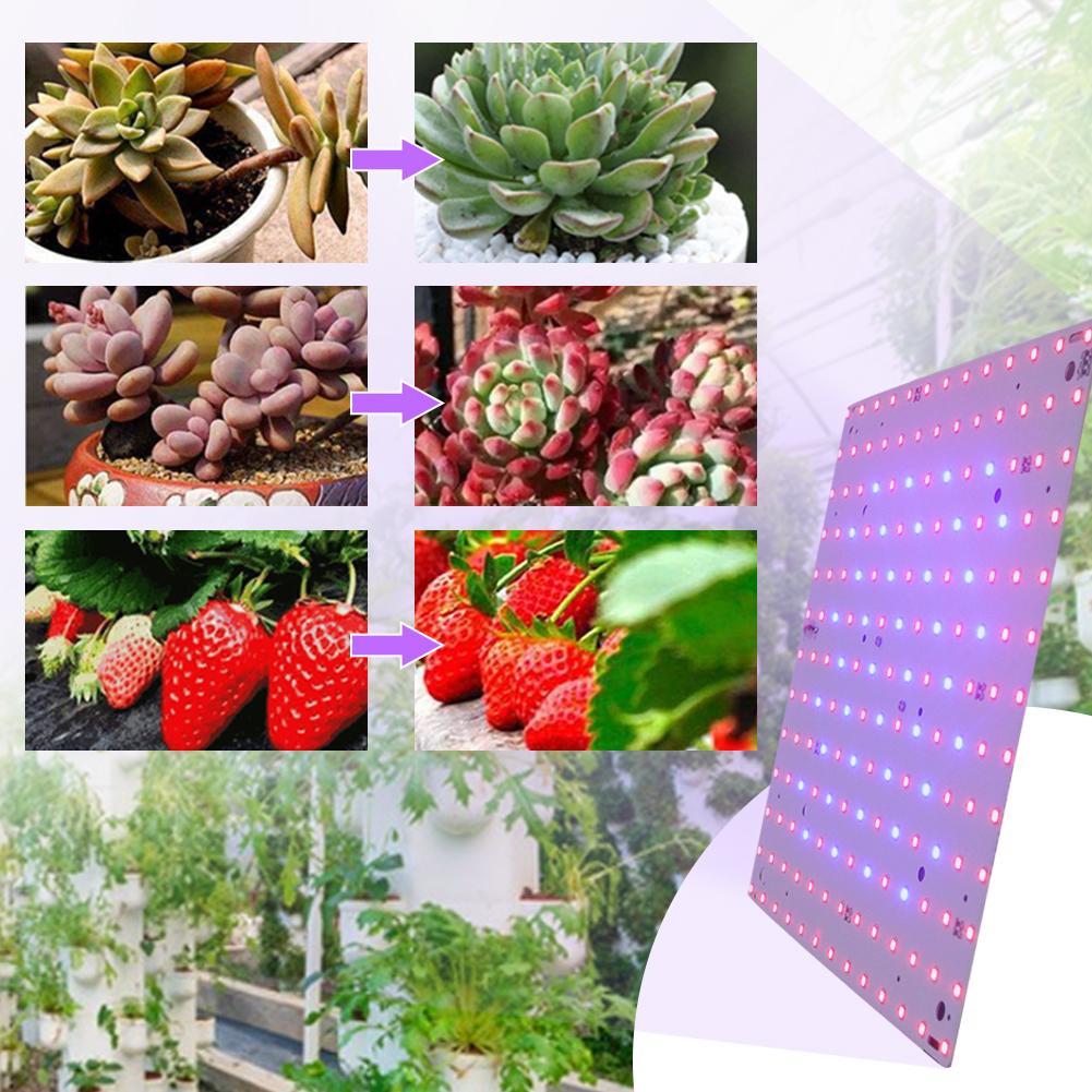 12W Indoor Grow Lights LED Grow Light Square Full Spectrum Plant Light Red Blue LED for Indoor Gardening Vegetables Grow Tent