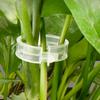 100Pcs Plant Support Clips Plastic Ties Trellis Stake Clips Garden Veggie Tomato Greenhouse Holder For Garden Tools Accessories