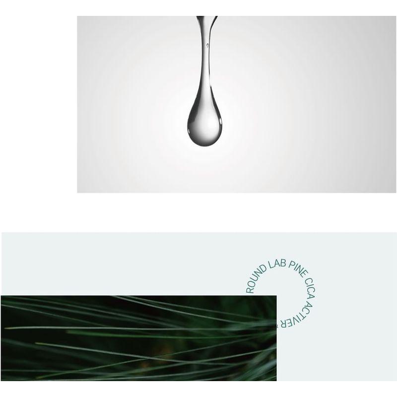 ROUND LAB Pine Calming Cica Cleanser