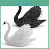 Figuras de Cisne de PVC de Animales Salvajes Simulados Para Exhibición de Granja y Aprendizaje Infantil