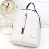 Trendy Waterproof Nylon Shoulder Bag With Inner Zipper Pocket For Ladies