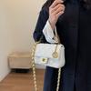Premium Sense Bag Women 2025 New Niche Design Fashion Diamond Chain Bag Internet Celebrity Explosion Shoulder Messenger Bag