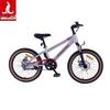 PHOENIX TT-20plus 20-inch Student Mountain Bike