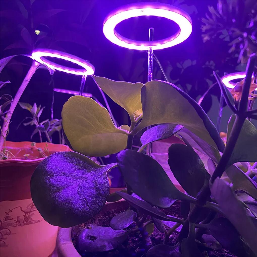 Greenhouse Essential LED Grow Lamp With Circular Memory Timing Function For Plant Seedlings Lamp