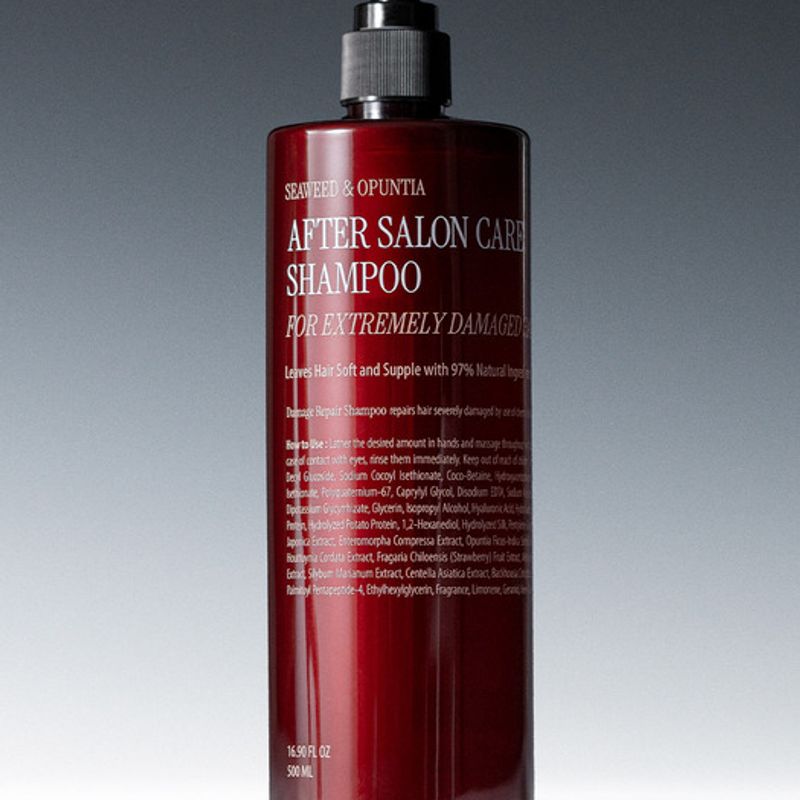 

After Salon Care Shampoo (Extreme Damage) 500ml After Salon Care Shampoo For Extremely Dam..