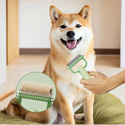 Perros – Productos de peluquería canina