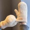 Women's Plush Fleece-Lined Cycling Gloves - Warm, Windproof, and Cute for Autumn and Winter