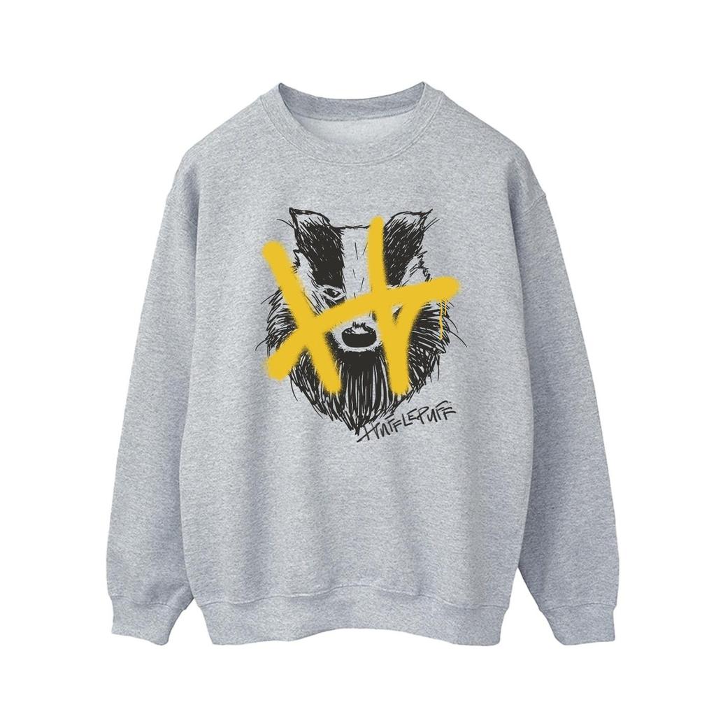 Harry Potter Mens Hufflepuff Pop Spray Sweatshirt