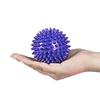 Urban Fitness Spiked Massage Balls