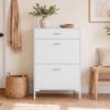 Shoe Cabinet Shoe Tilt Cabinet Max. 12 Pairs of Shoes White 75 X 26 X 110 Cm