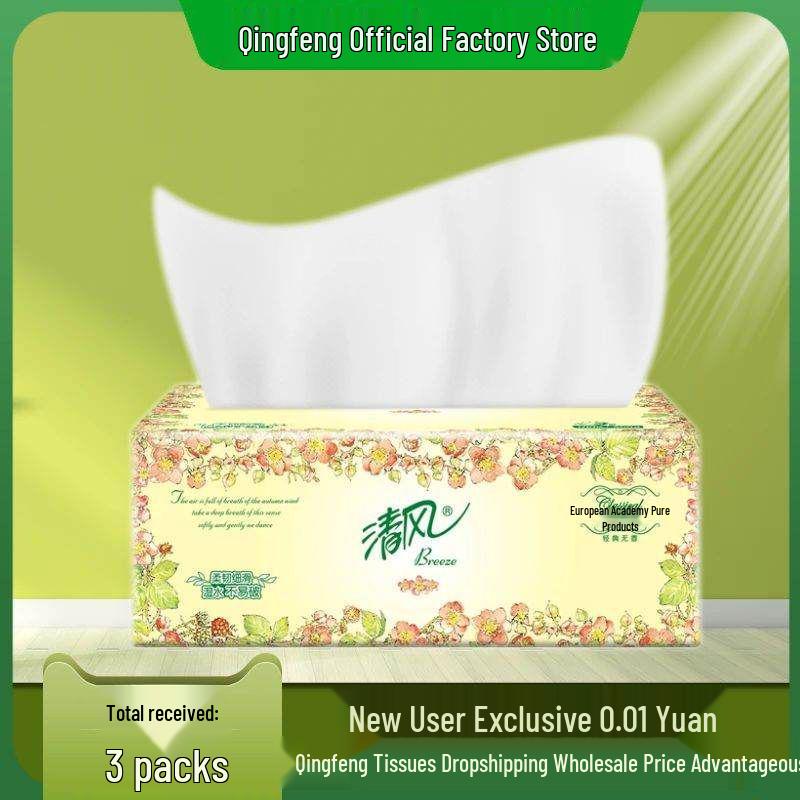 Gentle Breeze 3-Ply Facial Tissues - European Courtyard Collection, 100 Sheets, Large Box, Perfect for Student Dormitory Use