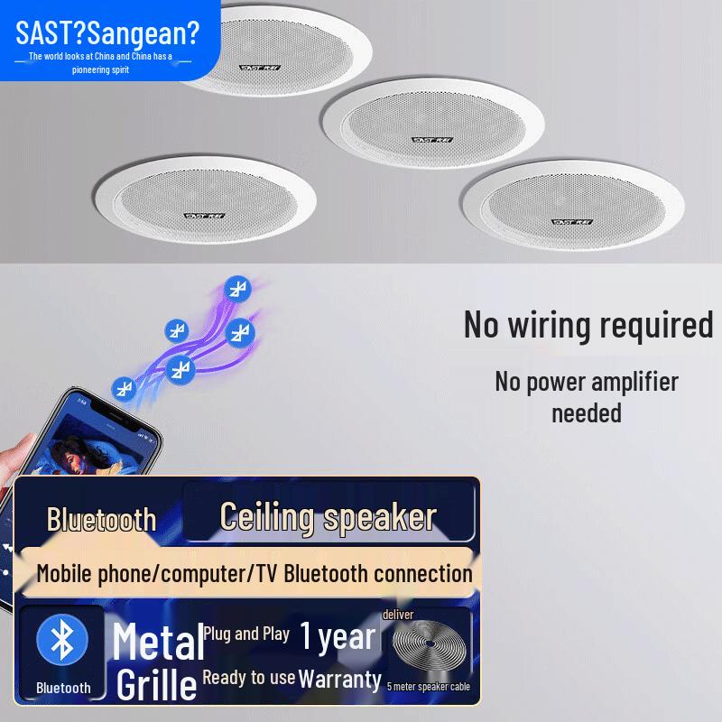 

SAST D30 Active Wireless Bluetooth Ceiling Speaker System CN plug (adapter included)