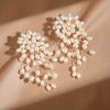Piece of Elegant and Luxurious Faux Pearl Women's Fashion Versatile Earrings, Suitable for Daily Wear and Party Outfits, a Perfect Gift