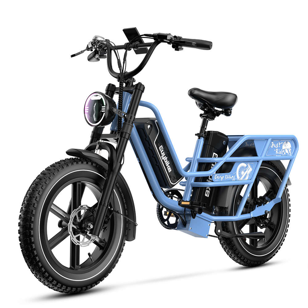 Potenza del motore della bicicletta elettrica EUYBIKE W1: 250W, Batteria: 2*48V30AH, pneumatici CST 20" x 4.0", Velocità massima: E-bike Utilitaria 25 KM/h