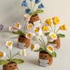 33 Styles Crochet potted tabletop Words of encouragement forget-me-not crochet orange convolia heart-warming ornament