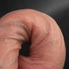 11.02" Realistic Flesh Silicone Dildo, Veined Skin Feel Penis Toy with Strong Suction Cup, Couples Gift with Storage Bag