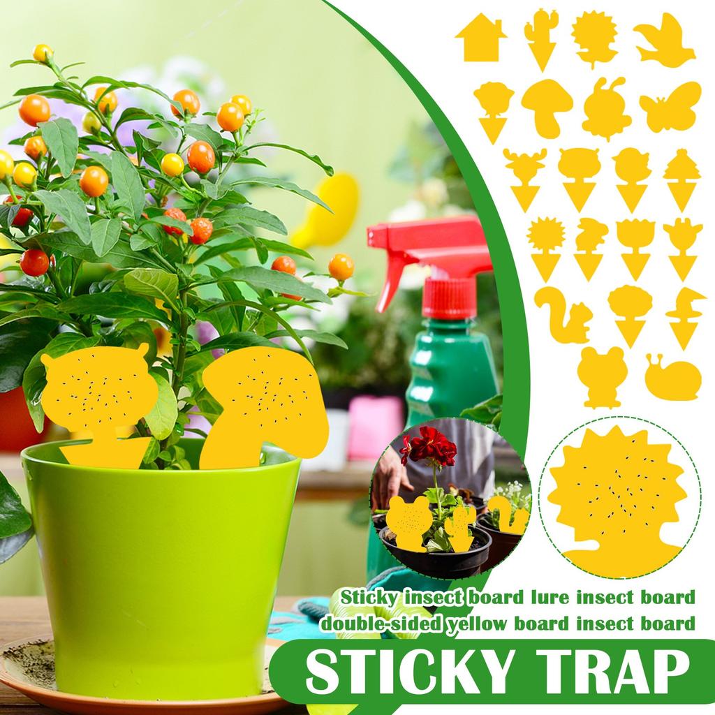 Klebrige Insektenfalle Insekt Doppelseitige Gelbe Tafel Insekt