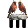 Bird Garden Stake Yard Ornament 2D Holiday Art Waterproof Decorative Plaque Lawn Decoration for
